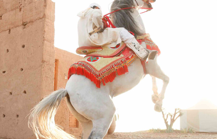 The White Camel Agafay Desert