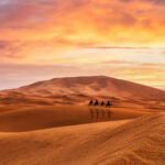 The White Camel Agafay Desert