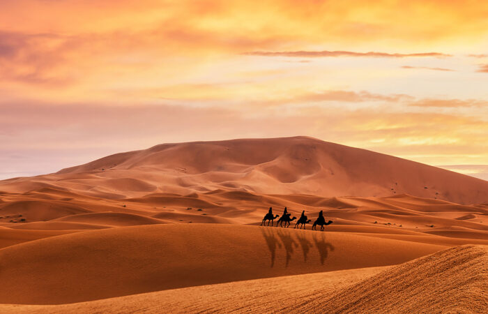The White Camel Agafay Desert