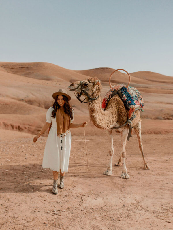 Le chameau blanc Agafay Camel Ride