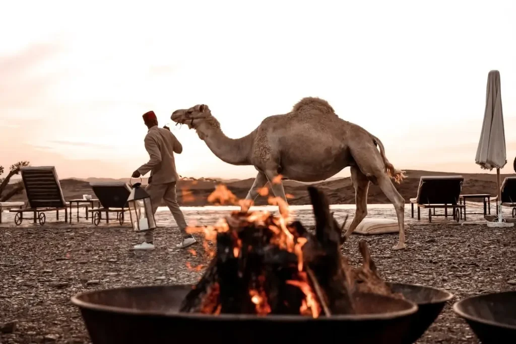 What Makes an Agafay Desert Day Trip So Special?