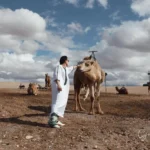 Agafay Desert camel trekking adventure